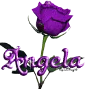 purple rose angela