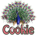 Cookie