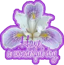 Wonderful Day