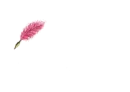 Francesca written with Pink Feather