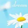 dream...