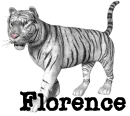 TIGER WITH NAME FLORENCE