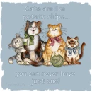 cats