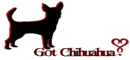 Got Chihuahua?