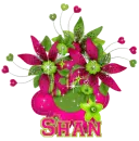 requested by Shan
