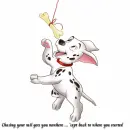 a dogs life