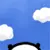 panda flying