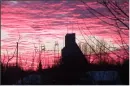 Pink sunset