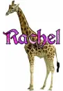 rachel giraffe