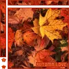 autumn love 