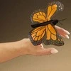 butterfly 4