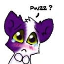 pwz