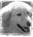 my doggie! <3