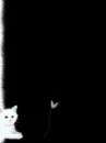 LIL KITTY