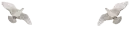 double dove divider