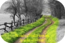 The Road To A Friends