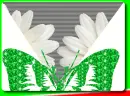 Batterfly