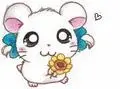 Cute