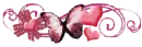 Pink stuff 