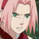 sakura haruno