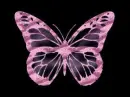 purple butterfly