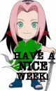 have a nice day