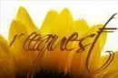 Sunflowerrr - Any requesttt .