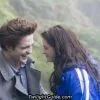 bella & edward