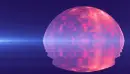 purple-pink moon