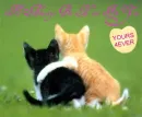 friend cats