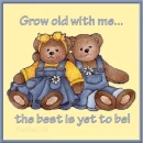 two bears