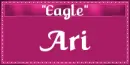 My Name Means - Ari