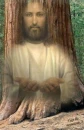 Jesus Tree