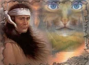 Cats Face Native