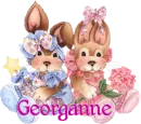 Bunnies