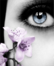 blue eyeÂ´s