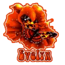 EVELYN