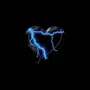 The Heart
