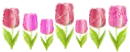 Flower divider