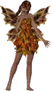fairy 