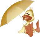 duck