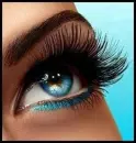 Eye