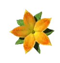 Vanilia
