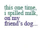 Spilled Milk :O