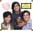 jonas brothers