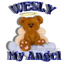 ANGEL BEAR