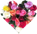 Roses Heart