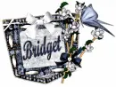 Bridget Pocket