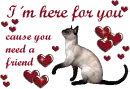 FRiendly cat