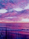 lovin the beach